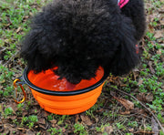 Collapsible Pet Silicone Dog Food Water