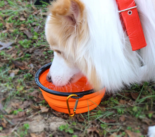 Collapsible Pet Silicone Dog Food Water