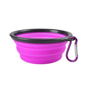 Collapsible dog bowl