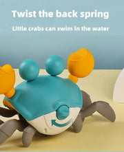 Induction crab toy