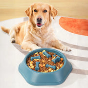 Bowl Pet Slower Food Feeding Dishes