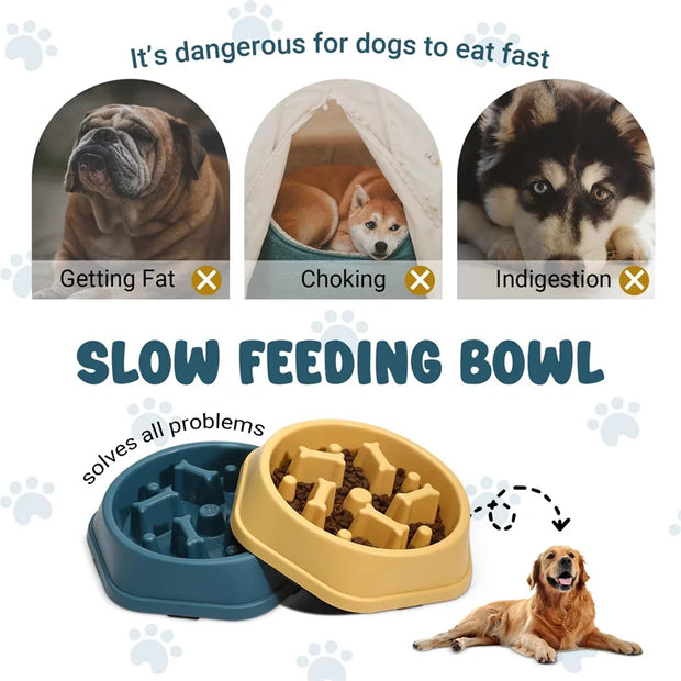 Bowl Pet Slower Food Feeding Dishes