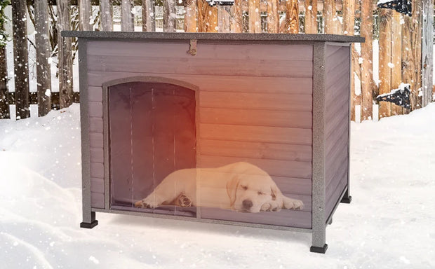 Outside dog house