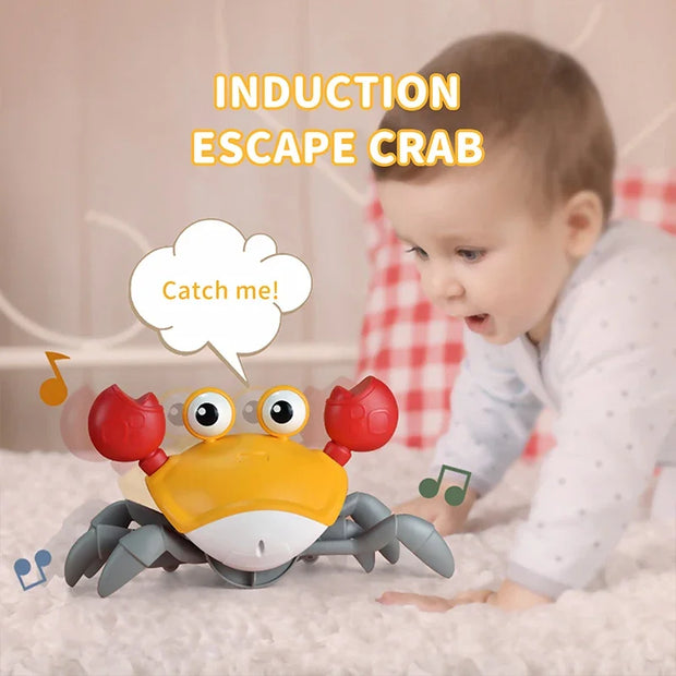 Induction crab toy