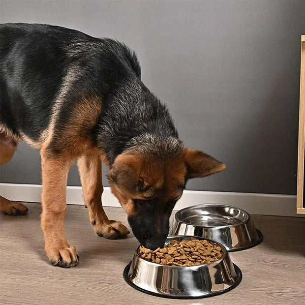 Pet bowl