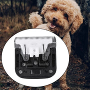 Pet Scissor Head for Woolly Dog Cow