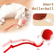 Cat Toy Ball