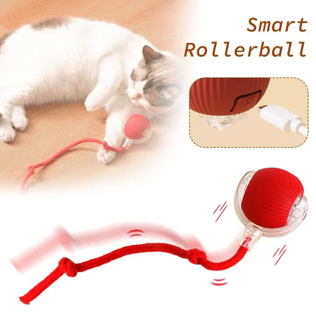 Cat Toy Ball