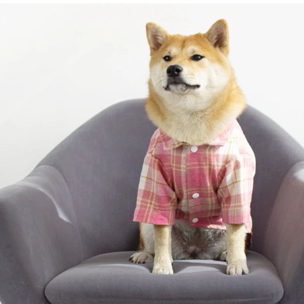 Classic Plaid Puppy Dog T Shirt