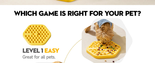 interactive dog puzzle toy