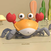 Induction crab toy