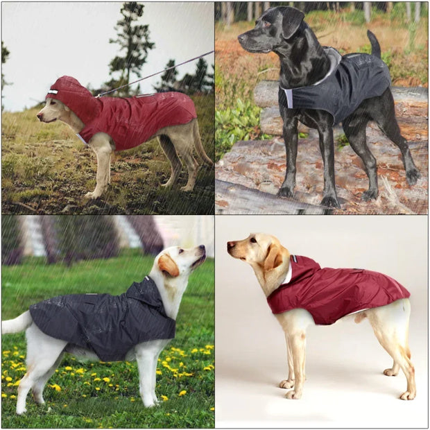 Dog Raincoat Waterproof Hoodie Jacket