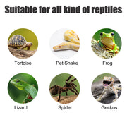 Reptile Pet Bowls Feeding Tools