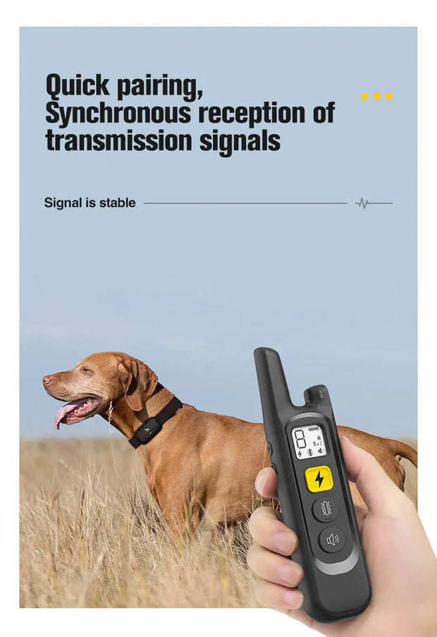 New Remote Dog Trainer