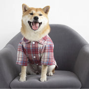 Classic Plaid Puppy Dog T Shirt