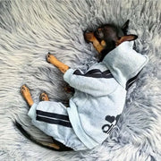 Dog Jumpsuit Warm Puppy Pet Clothes