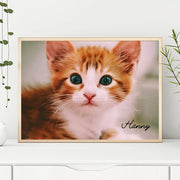 Custom pet photo