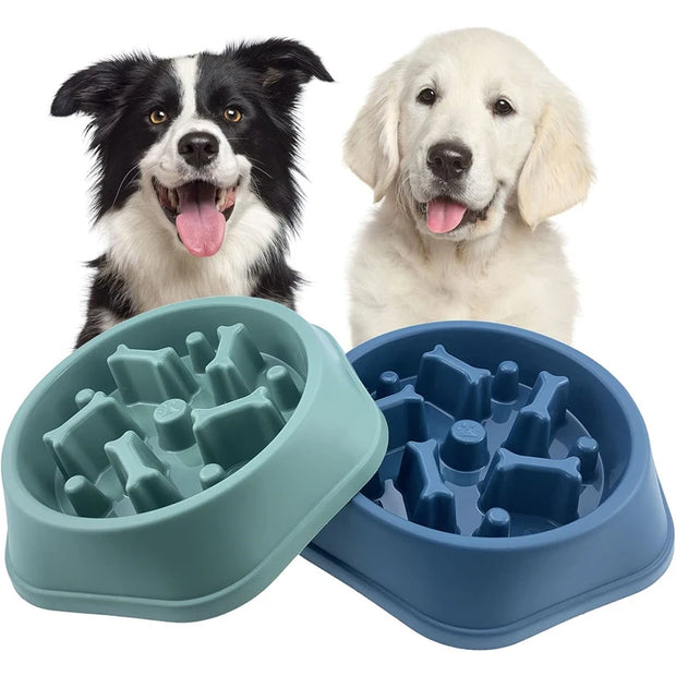 Bowl Pet Slower Food Feeding Dishes