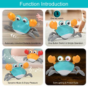 Induction crab toy