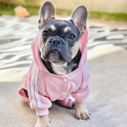 Dog Jumpsuit Warm Puppy Pet Clothes