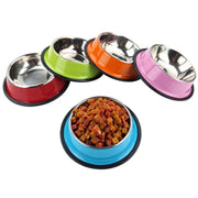 Anti-Slip Stainless Steel Feeding Bowl