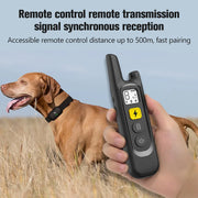 New Remote Dog Trainer