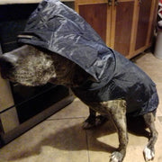 Dog Raincoat Waterproof Hoodie Jacket