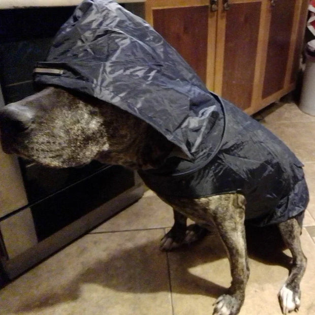 Dog Raincoat Waterproof Hoodie Jacket