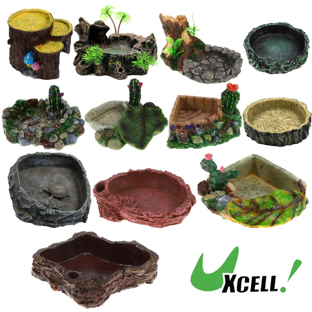 Reptile Pet Bowls Feeding Tools