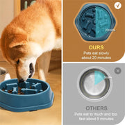 Bowl Pet Slower Food Feeding Dishes