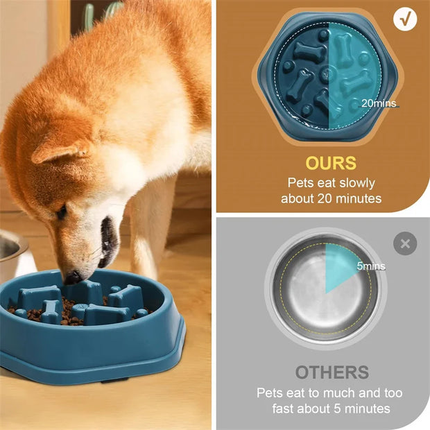 Bowl Pet Slower Food Feeding Dishes