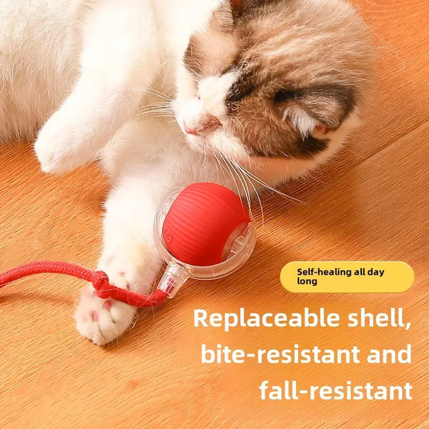 Cat Toy Ball