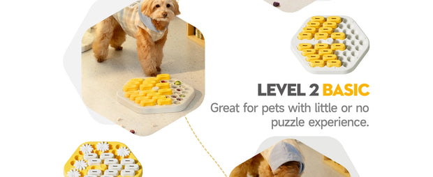 interactive dog puzzle toy