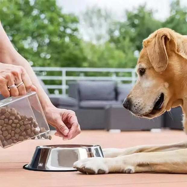 Pet bowl