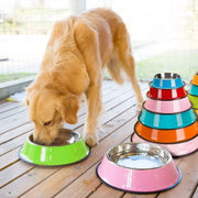 Anti-Slip Stainless Steel Feeding Bowl