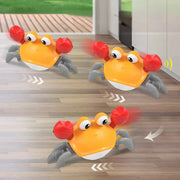 Induction crab toy